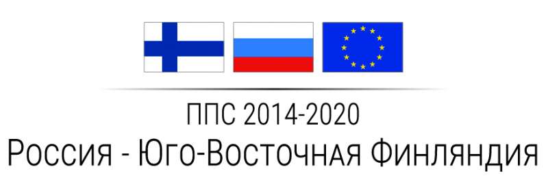 онлайн-встреча финских и российских партнеров