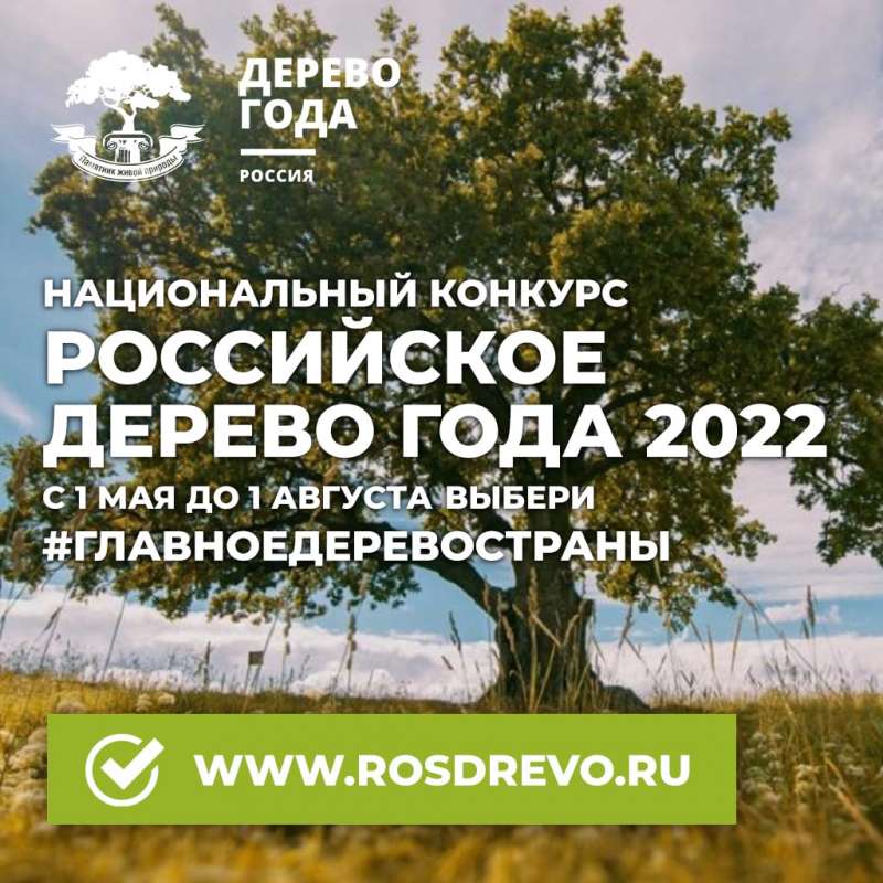 Всероссийская программа «Деревья – памятники живой природы»